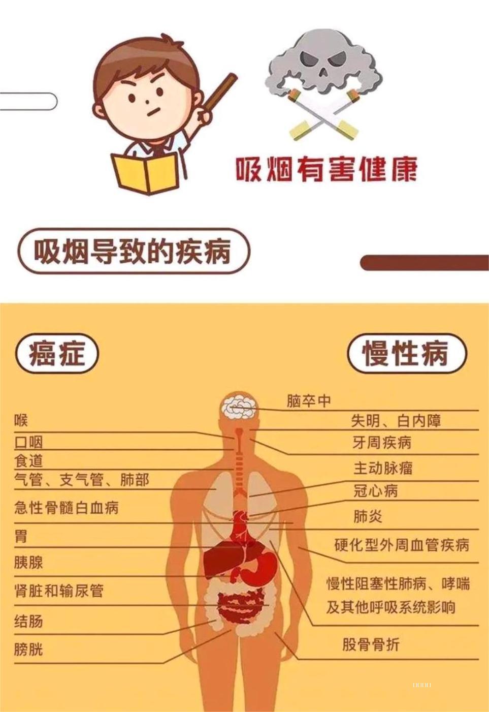 吸烟导致的疾病.jpg 吸烟导致的疾病.jpg