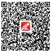 图片 8