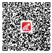 图片 6