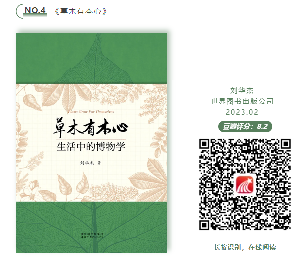 图片 4