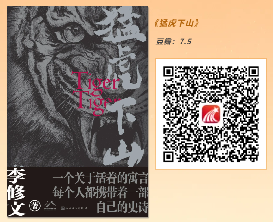 图片 13